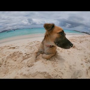 Meet your Posher, Ryker